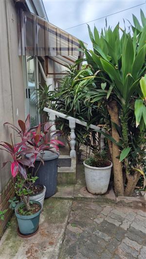 Bluff Bachelor Granny Flat to Rent