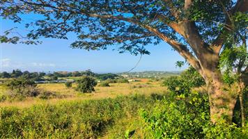 VACANT STAND IN SALT ROCK - NO TRANSFER DUTIES