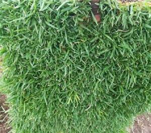 Instant lawn services at affordable prices