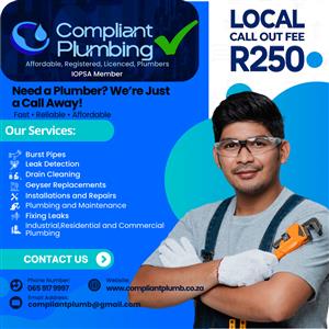  PROFESSIONAL PLUMBING SERVICES 