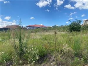 Vacant Land for Sale in Serala View