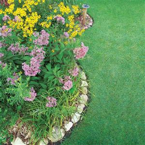 Garden services and instant lawns