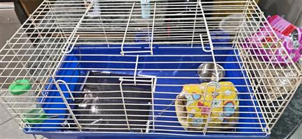 Guinea Pig / Hedgehog Cage For Sale