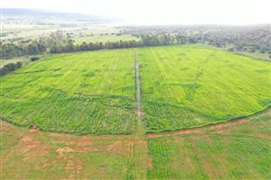Exceptional 256ha Bushveld Farm – Agricultural & Lifestyle Opportunity