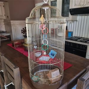 Budgie cage 