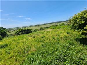 Vacant Land Commercial For Sale in KWAMBONAMBI