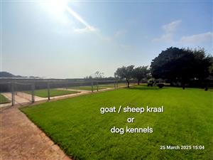 Two modern homes & income-generating farm shop - On tar road - NO Loadshedding