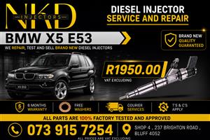 _BMW_X5_E53_Diesel_Injectors 