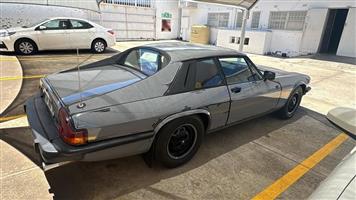 1981 Jaguar XJS v12
