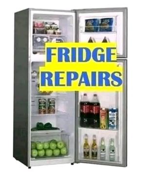 fridge regassing price