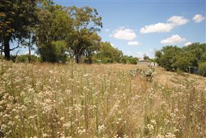 Vacant Land Residential For Sale in Oranjeville