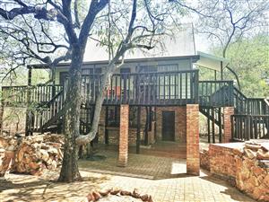 The Bush is alive and beautiful!