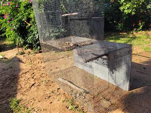 Large & Small Outdoor Bird Cage/Aviary