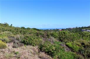 Affordable Plot with Sea and Country Views in Port Alfred