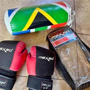 Boxing Gloves with Bag Set