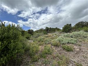 Vacant stand in Paradise Beach