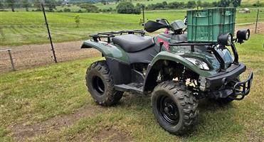 2020 LINHAI  300 2X4  - LOW RANGE 