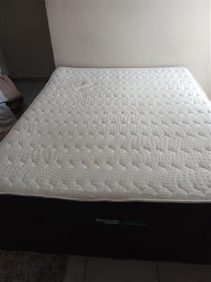 Dynamic Orthopedic - Queen Size Bed For Sale