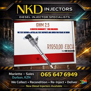 2.5 GWM Diesel Injectors