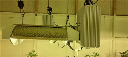 Growlights