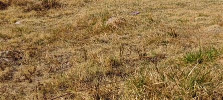 Gateway to Possibilities: Premium Vacant Land in Akasia, The Orchards