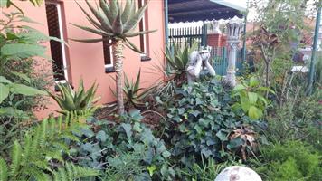 Entertainers Dream home with Flatlet, pool in a Prime location near Carnival City.