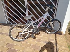 Used Raleigh Mountain Bike like New 6speed with front shocks