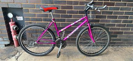 Raleigh  bicycle 280 Steve Biko rd Gezina  Pretoria  Wattsup 