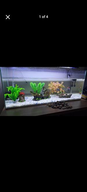 Fish tank