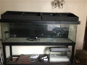 2Meter(550 Liter)Fish tank and stand and lights for sale 