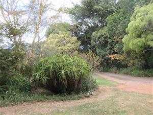 House for Sale in Bathurst