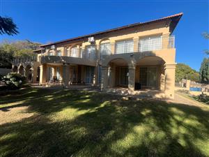 Ambassadorial Magnificence