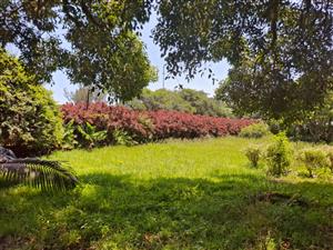 Prestigious 4,790m² Beachfront Property in Tugela Mouth with Great Potential