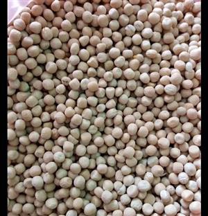 Yellow peas for birds