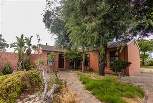 3-Bedroom Fixer-Upper on Large Plot | Northpine