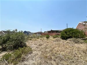 Tranquil Stand Bordering Farmland