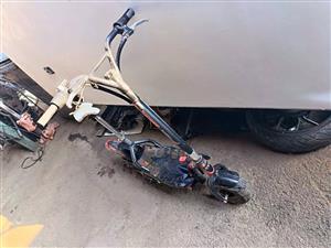 Electric Scooter zingo x800 