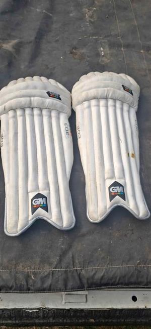 Kids Cricket