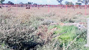 Vacant Land for sale in Grassland