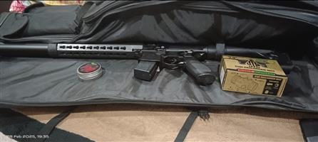 CO2 Sig Sauer AR