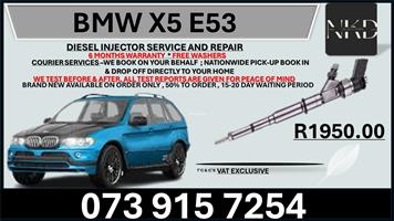 BMW X5 E53 Diesel Injectors 