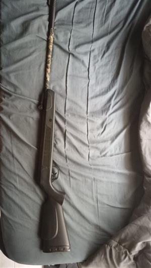 Spa pellet gun