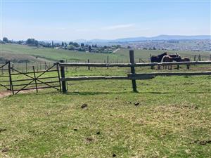 MOOI RIVER RURAL: 76HA LIFESTYLE PROPERTY with commercial opportunities -  Totally OFF grid