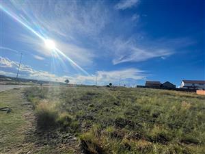 Vacant Land Corner Stand Wild Olive Estate