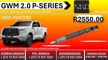 GWM 2.0L P-Series Diesel Injectors 