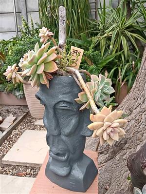 Grey head planter pot with plants