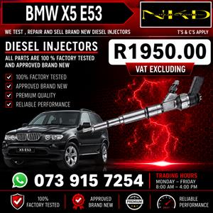 BMW_X5_E53_Injectors_On_Repair