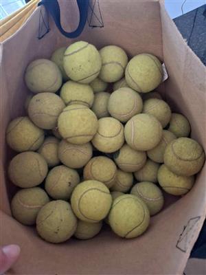 Dogs Tennis Balls for sale / 60 Tennis Balls / Pretoria East