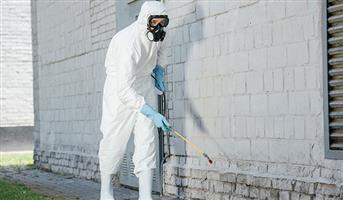 Pest Control in Centurion - Eco-Fumigation