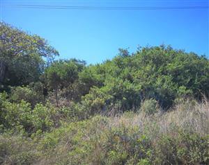 ELEVATED STAND WITH BEAUTIFUL VIEWS OF THE MOUNTAINS AND THE SURROUNDING AREA